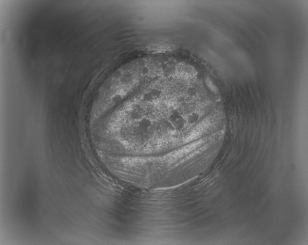 X0000074001393200609181756