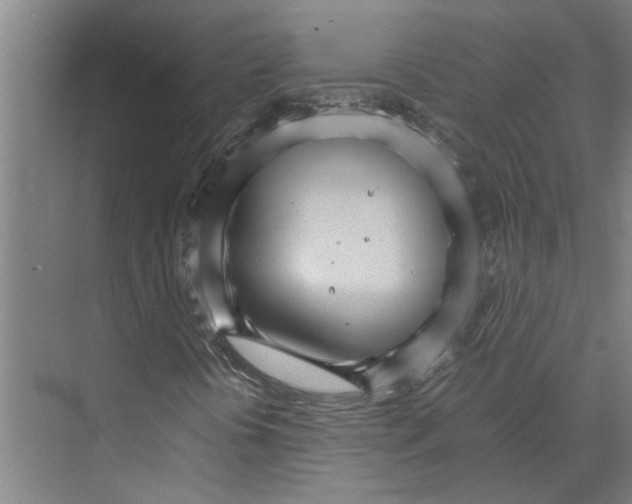 X0000074001394200609181756