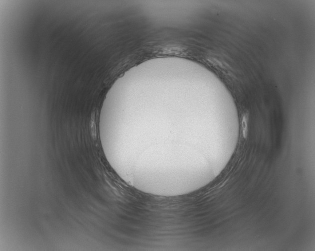 X0000074001395200609181756