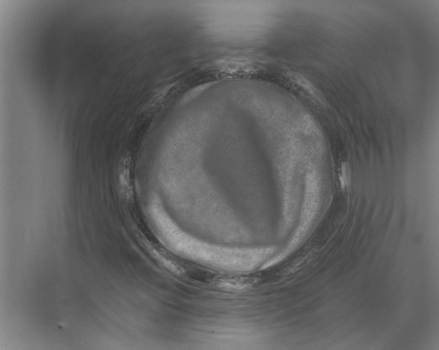 X0000074001396200609181756