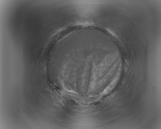 X0000074001398200609181756