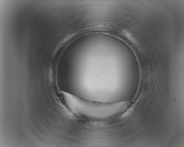 X0000074001402200609181756