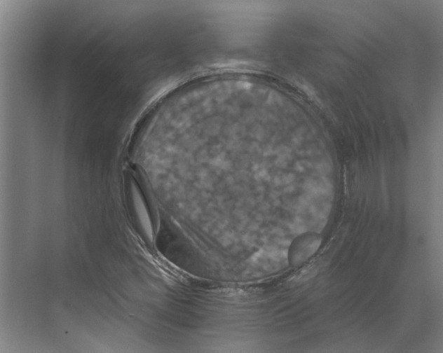 X0000074001405200609181756