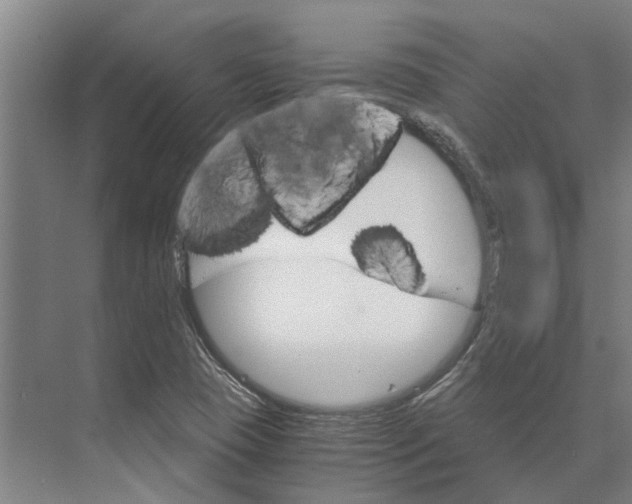 X0000074001409200609181756