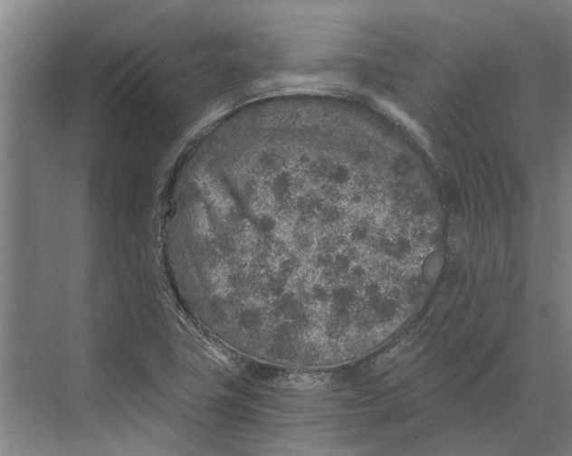 X0000074001411200609181756