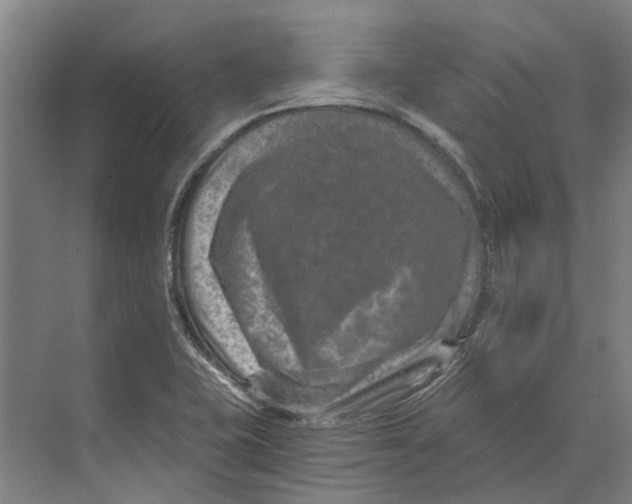 X0000074001415200609181756