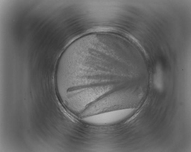 X0000074001417200609181756