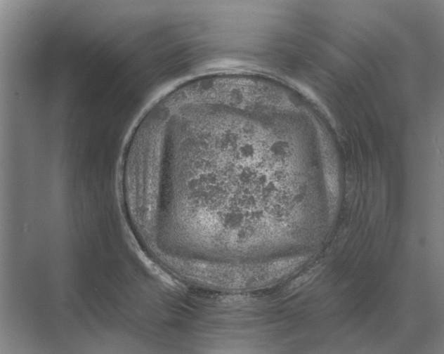 X0000074001421200609181756