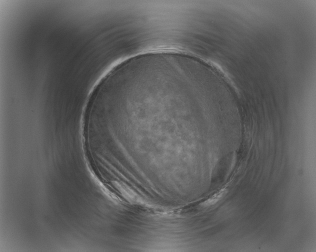 X0000074001422200609181756