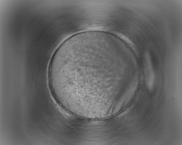 X0000074001423200609181756