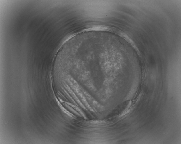 X0000074001425200609181756