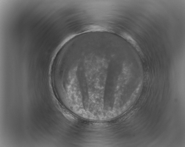 X0000074001427200609181756