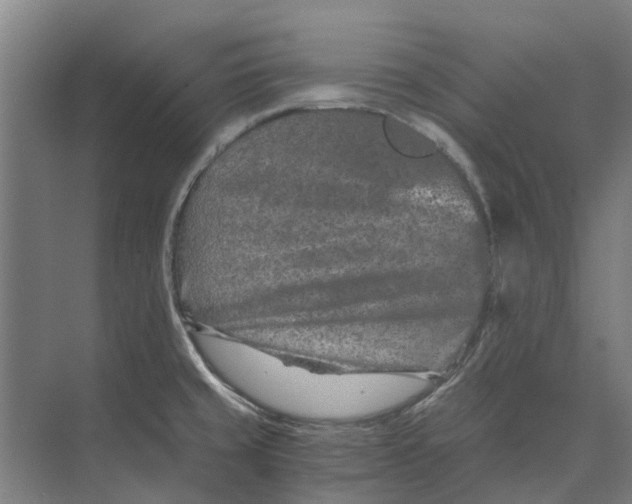 X0000074001429200609181756