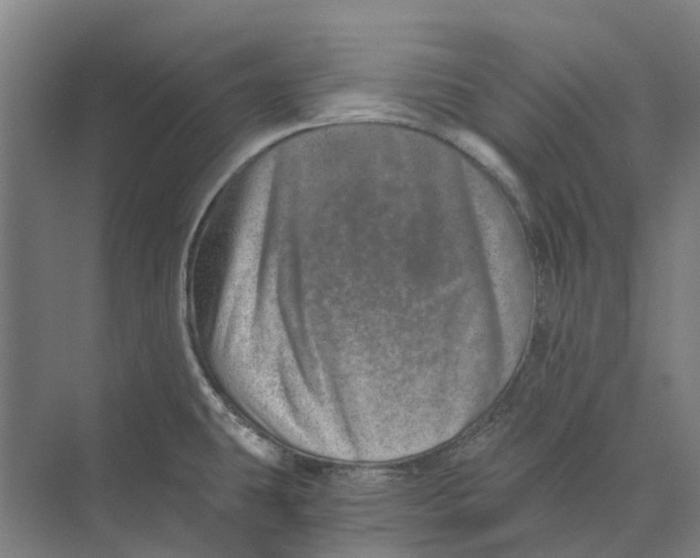 X0000074001431200609181757