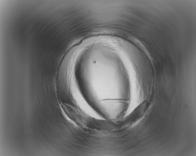 X0000074001433200609181757