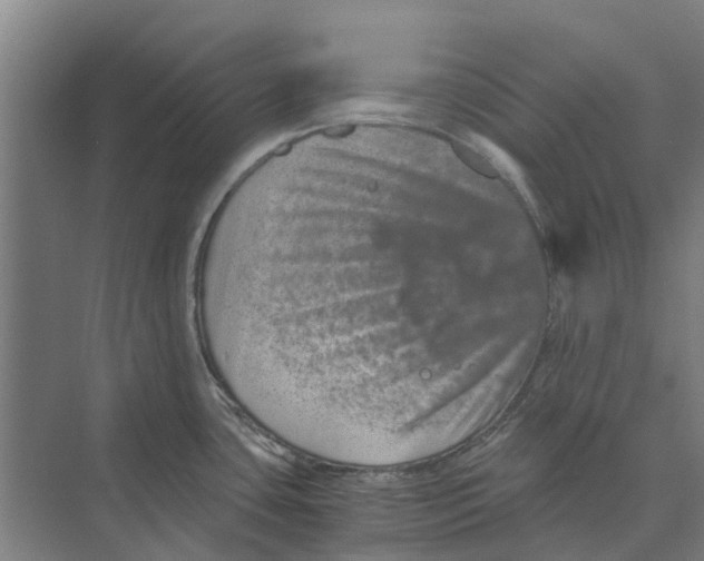 X0000074001435200609181757