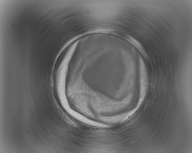 X0000074001436200609181757