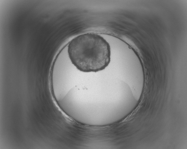 X0000074001440200609181757