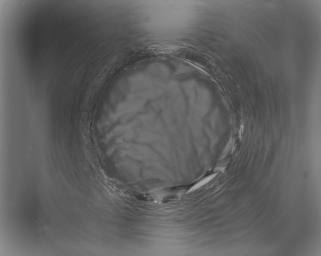 X0000074001441200609181756