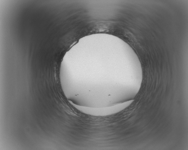 X0000074001442200609181756