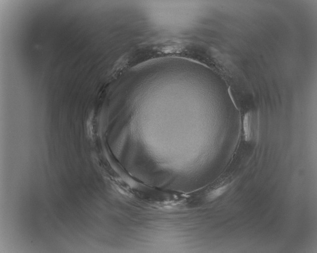 X0000074001443200609181756