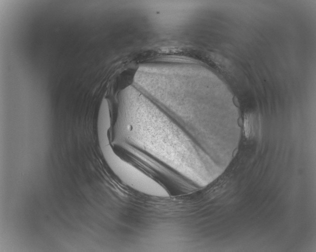 X0000074001444200609181756