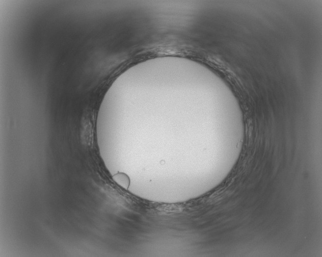 X0000074001446200609181756