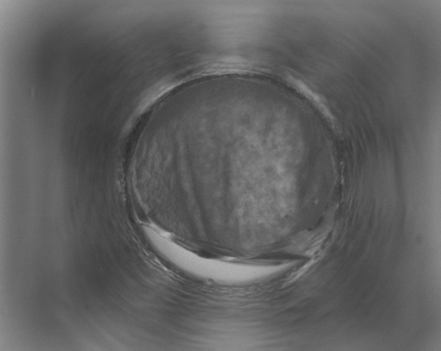 X0000074001453200609181756