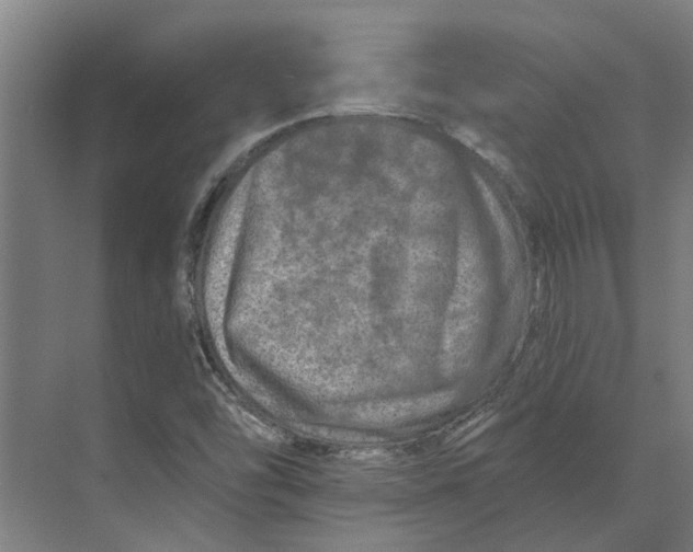 X0000074001454200609181756