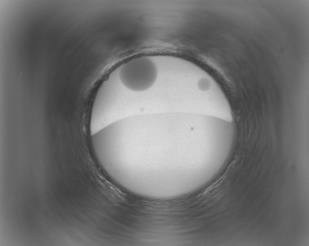 X0000074001455200609181756