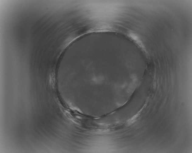 X0000074001457200609181756