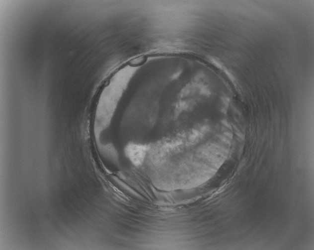 X0000074001459200609181756