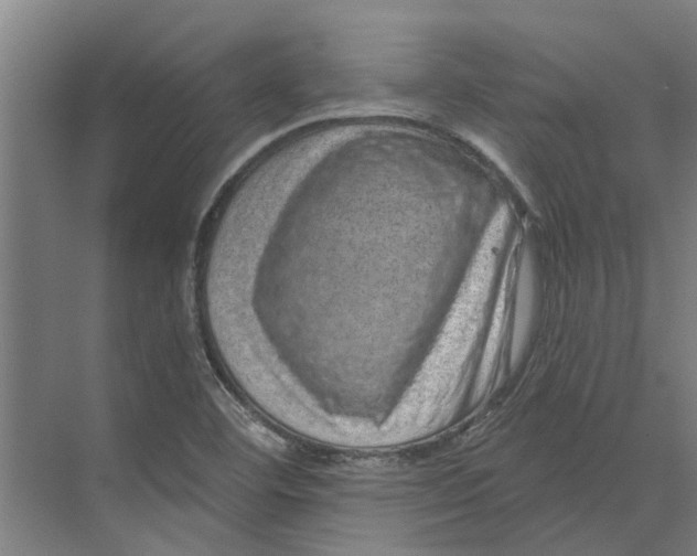 X0000074001460200609181756