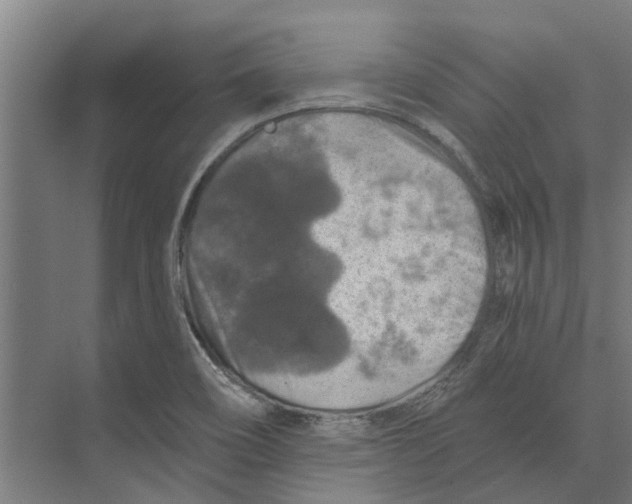 X0000074001466200609181755