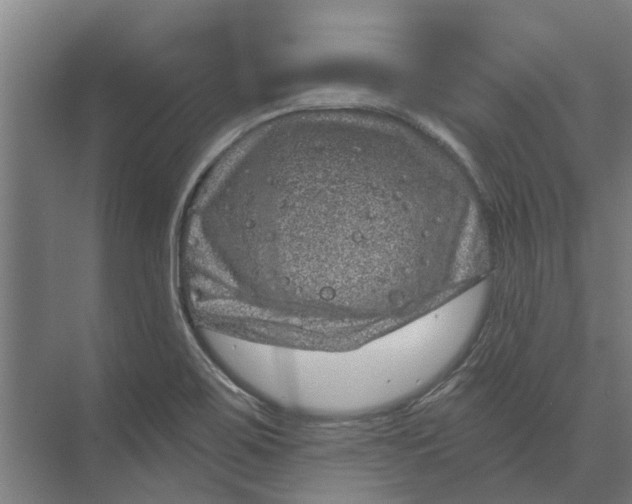 X0000074001467200609181755