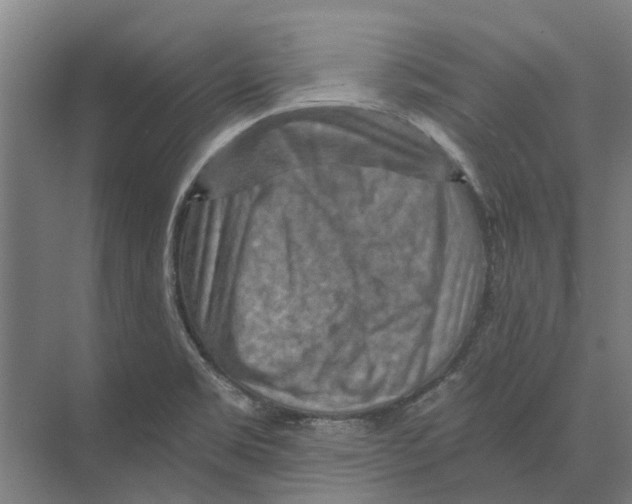 X0000074001469200609181755