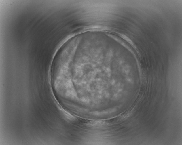 X0000074001474200609181755