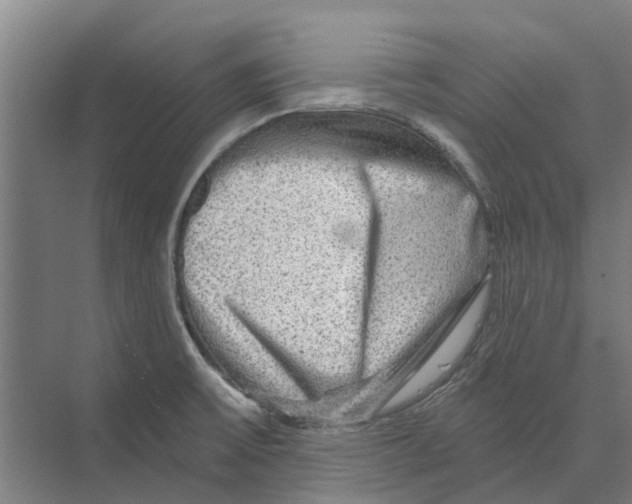 X0000074001475200609181755