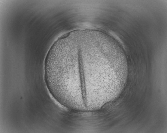 X0000074001479200609181755