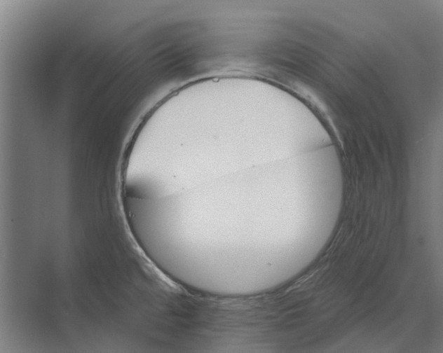 X0000074001480200609181755