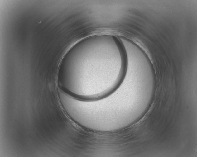 X0000074001481200609181755