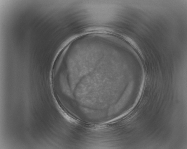 X0000074001482200609181755