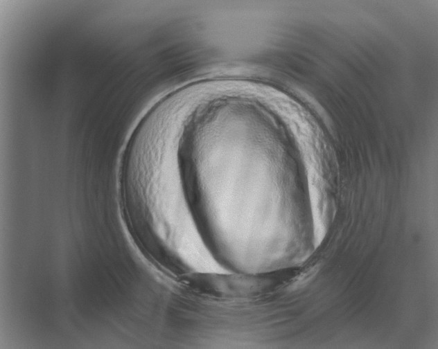 X0000074001483200609181755