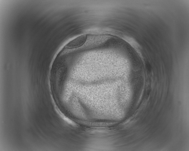 X0000074001486200609181755