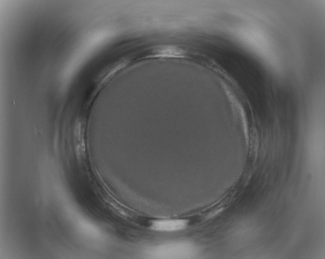 X0000074001487200609181755