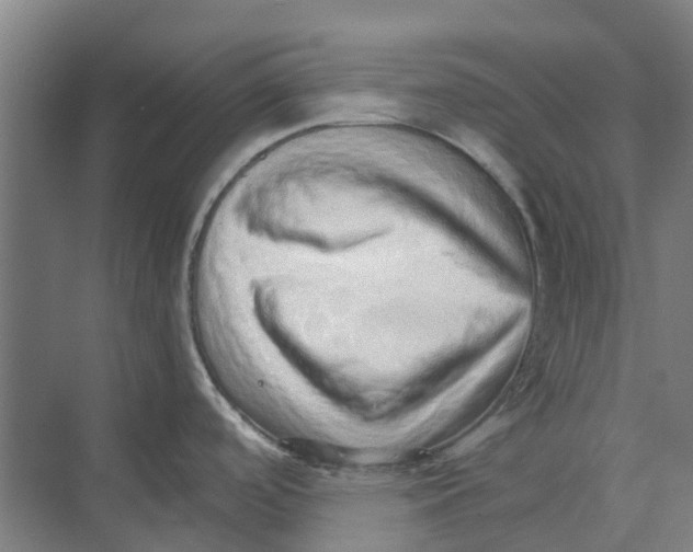 X0000074001488200609181755