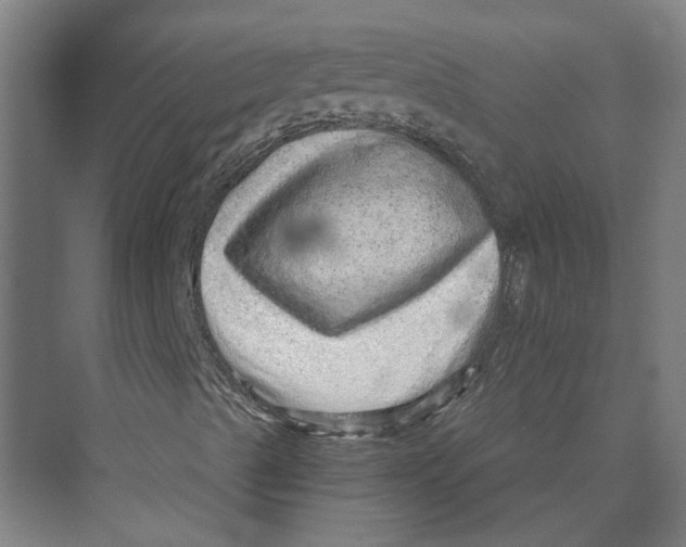 X0000074001489200609181754