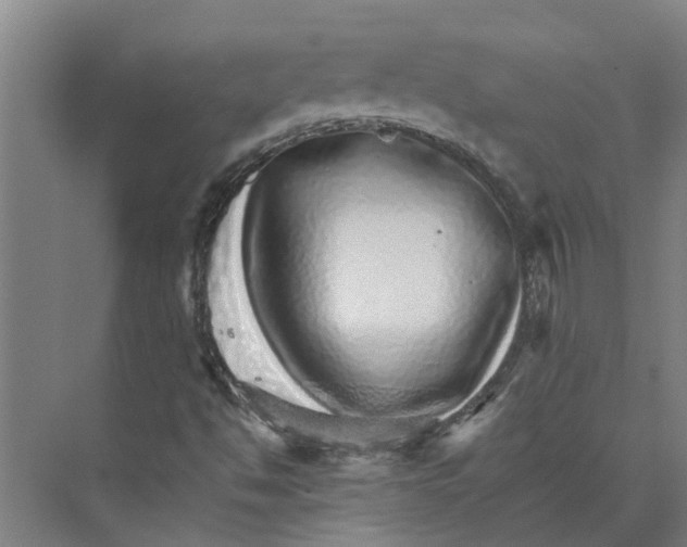 X0000074001494200609181754