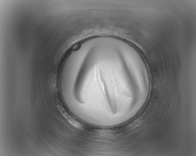 X0000074001499200609181754