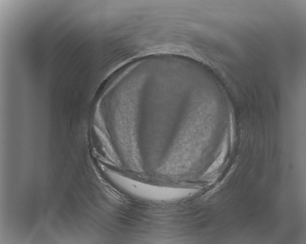 X0000074001505200609181755